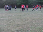 OTFL Gallery Image